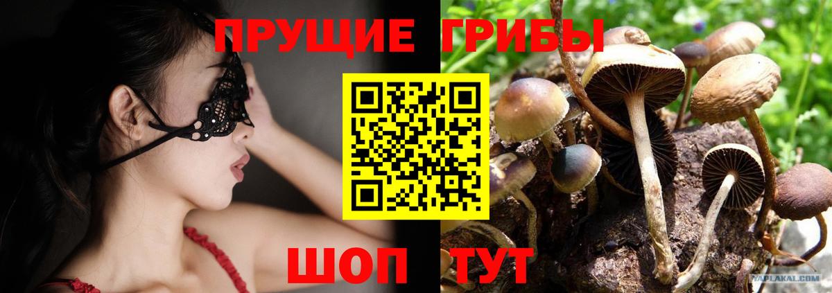 Галлюциногенные грибы Cubensis  Вход с VPN  Ангарск 